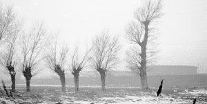 Reste der Marsch, die Dradenau