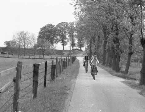 Der Querweg beim S&uuml;derdeich