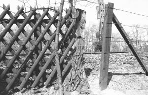 Der J&auml;gerzaun am Bahndamm
