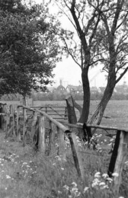 mitten in Altenwreder